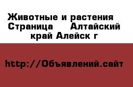  Животные и растения - Страница 2 . Алтайский край,Алейск г.